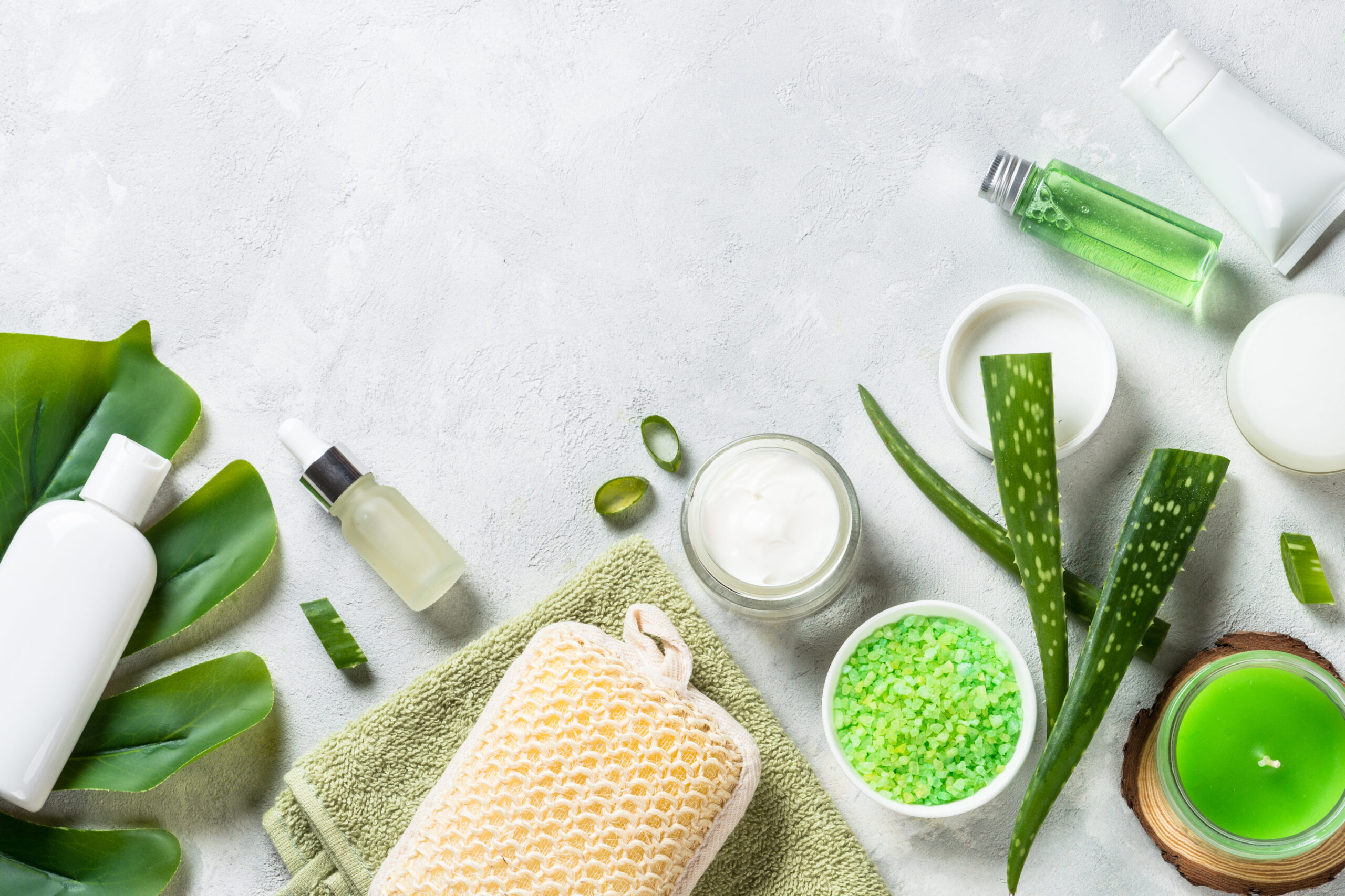 Aloe vera 